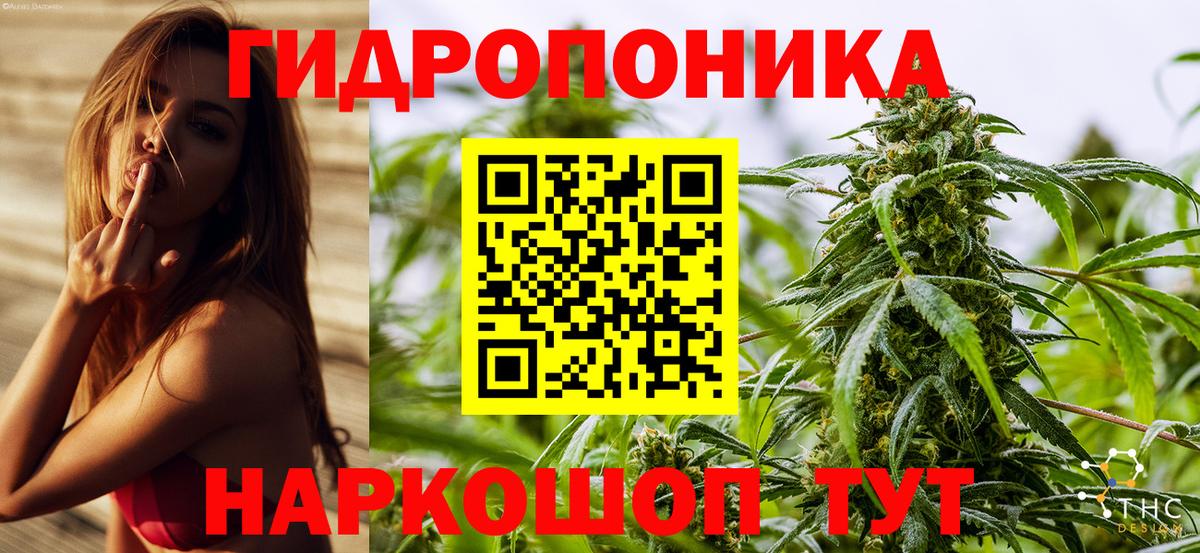 Каннабис марихуана Королёв